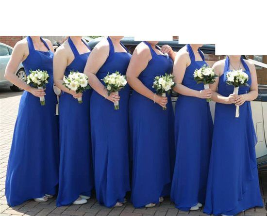 Blue Kelsey Rose Dress 