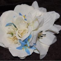 Re: FMIL wants to wear white?!