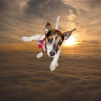 Re: its my birthday!