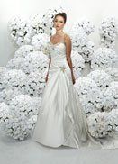 ***Opinions Please***