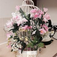 For sale bird cages