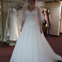 Re: wedding dresses...anybody wanna share what there having?