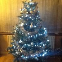 Re: Christmas Tree Flash!