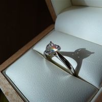 Re: Anyone interested in a ring flash?