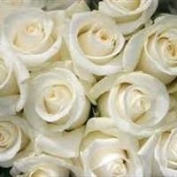 So much to do, so little time! *Flashes*