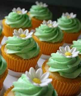 Waa-hoo just found my perfect cupcakes *flash*