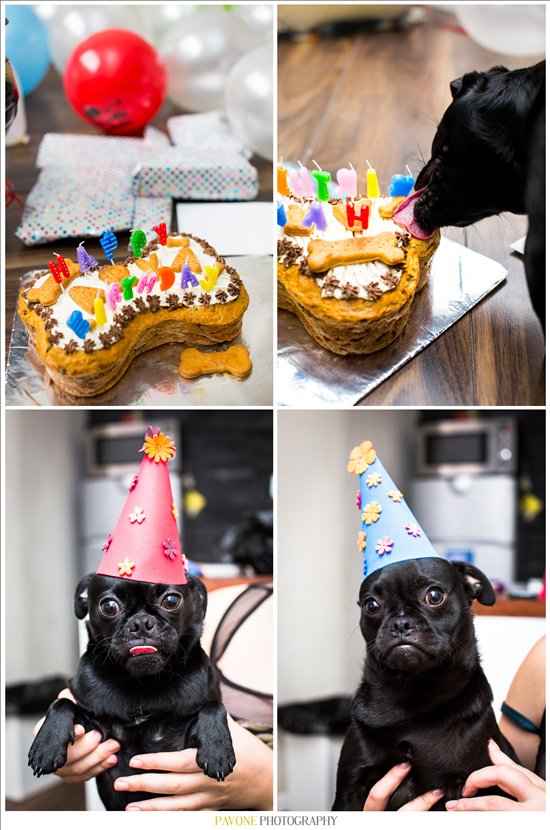 Happy Birthday! (One for dog lovers)