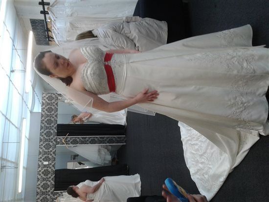 Re: How would you describe your dress? Include *flashes* if you want!