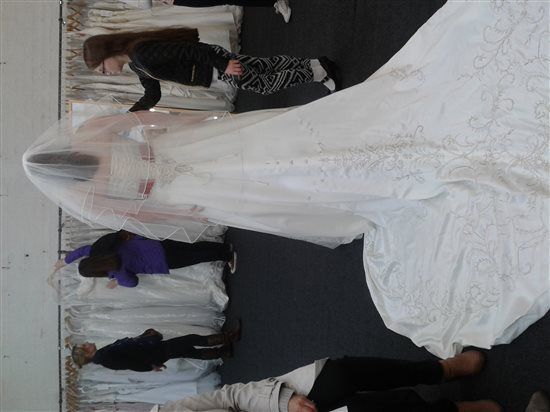 Re: How would you describe your dress? Include *flashes* if you want!