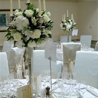 Re: What are you having as centrepieces?