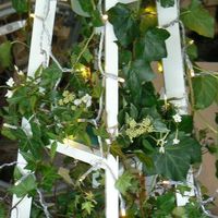 Wedding DIY *flashy flashy*