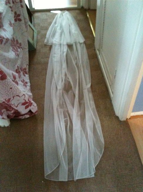 Re: brand new BHS ivory cathedral veil