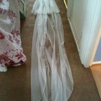 Re: brand new BHS ivory cathedral veil