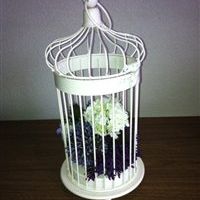 Lots of Wedding bits for sale