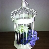 Lots of Wedding bits for sale