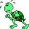 Hurtle Turtle