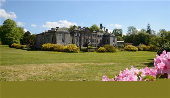 The Planning so far *FLASH*