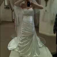 Re: Dress trial flashys please!