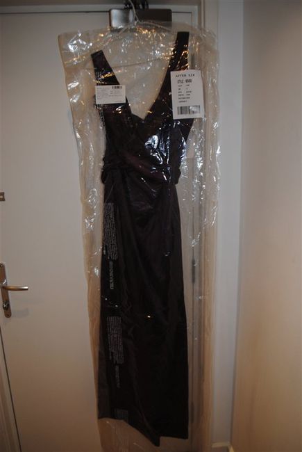 Re: 3 x Brand New Full-length 'Aubergine' Dessy bridesmaid dresses