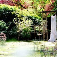 Re: **Wedding Report** by PhoenixAngelic - possibly the longest ever (so so so sorry)