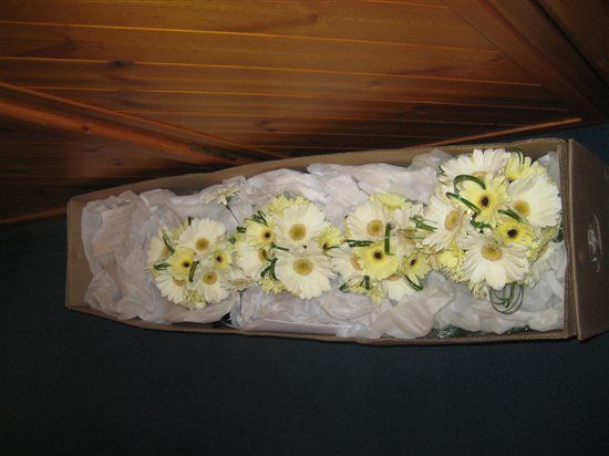 Re: Suggestions for yellow flowers please.