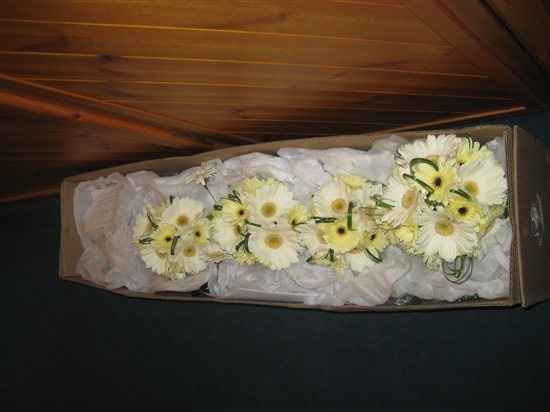 Re: Suggestions for yellow flowers please.