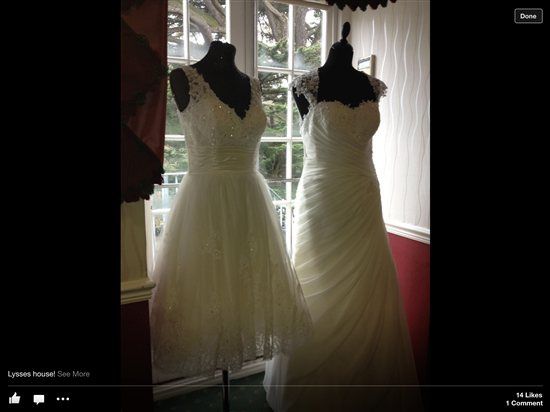 Re: FINALLY found a pic of my dress!