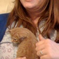 Re: O/T How do you stay focussed...