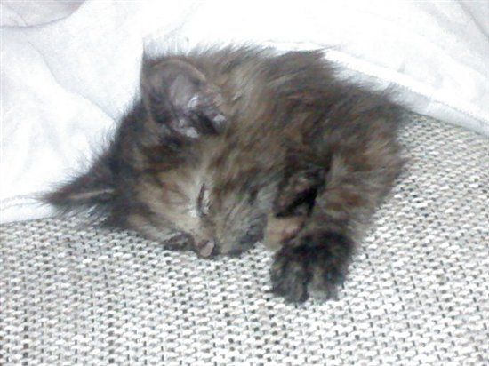 Re: Are you on hitched again...