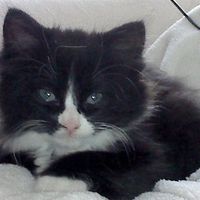 Re: Pets - Lets see what us Hitchers have as companions