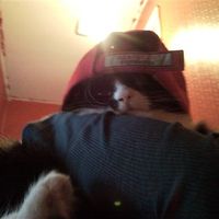 Re: Are you on hitched again...