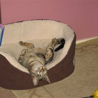 Re: The post a picture of your pet thread!