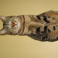 Re: The post a picture of your pet thread!