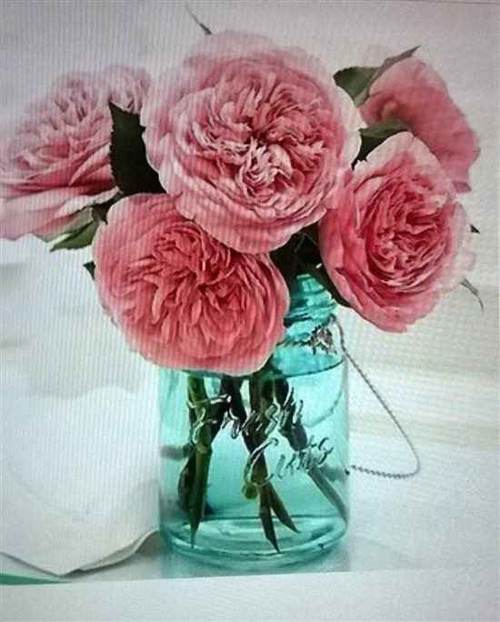 Re: Everything is coming together