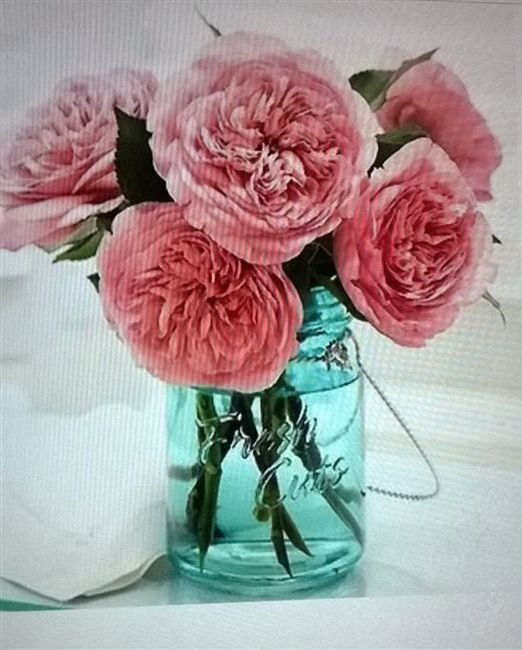 Re: Everything is coming together