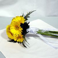 Re: Bridesmaids dress colour V's flower colour -Help!