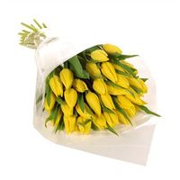 Re: Bridesmaids dress colour V's flower colour -Help!