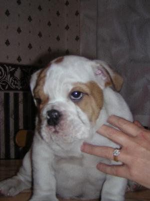 Re: Thinking people look like you