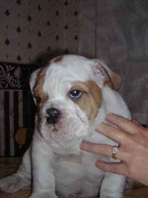 Re: Thinking people look like you