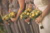 my wedding report with lots of flashes!