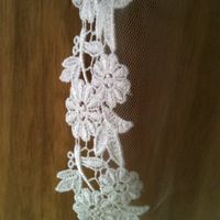 My veil has arrived, and I love it!  *flash*
