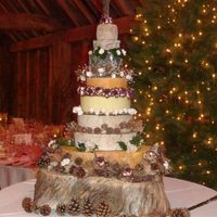 A few ***flashes*** from my wedding day