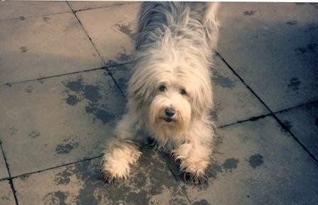 Re: Pics of Hitchers' Pets...