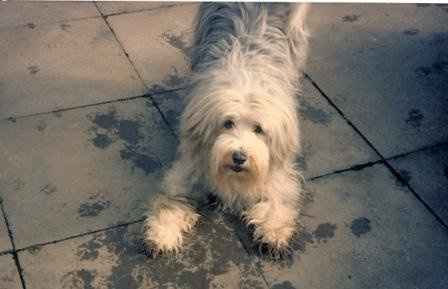 Re: Pics of Hitchers' Pets...