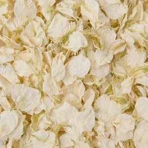 Just over 3 weeks to go Flash, flash