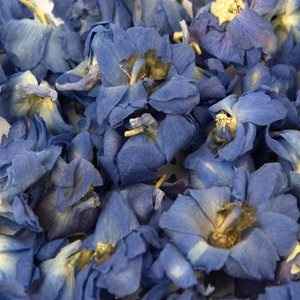 Just over 3 weeks to go Flash, flash