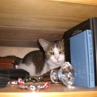 Re: Pics of Hitchers' Pets...