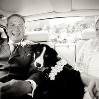 Wedding Report for Poppyseed - 7th July 2012