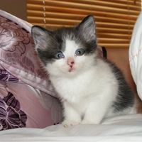 Re: Friday Night - Flash What You Want