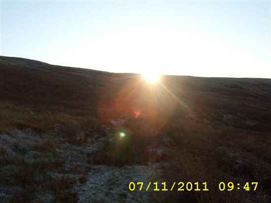 The 2 part wedding and the subsequent report.